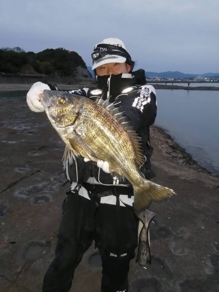 チヌからの挑戦状