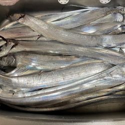 タチウオテンヤ