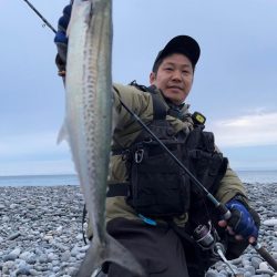 小さいジグでも豆マキマキなら切られない