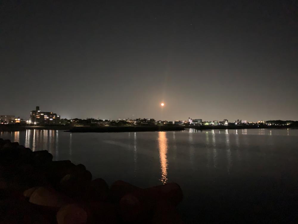 メバル12＋タケノコメバル①