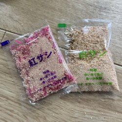 ワカサギ釣り⋆*🐟