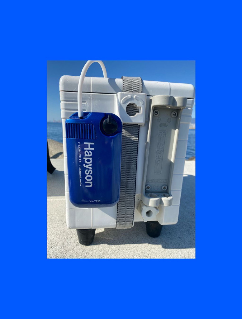 朝方は潮が低く