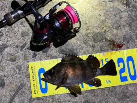 アフタースポーン メバリング