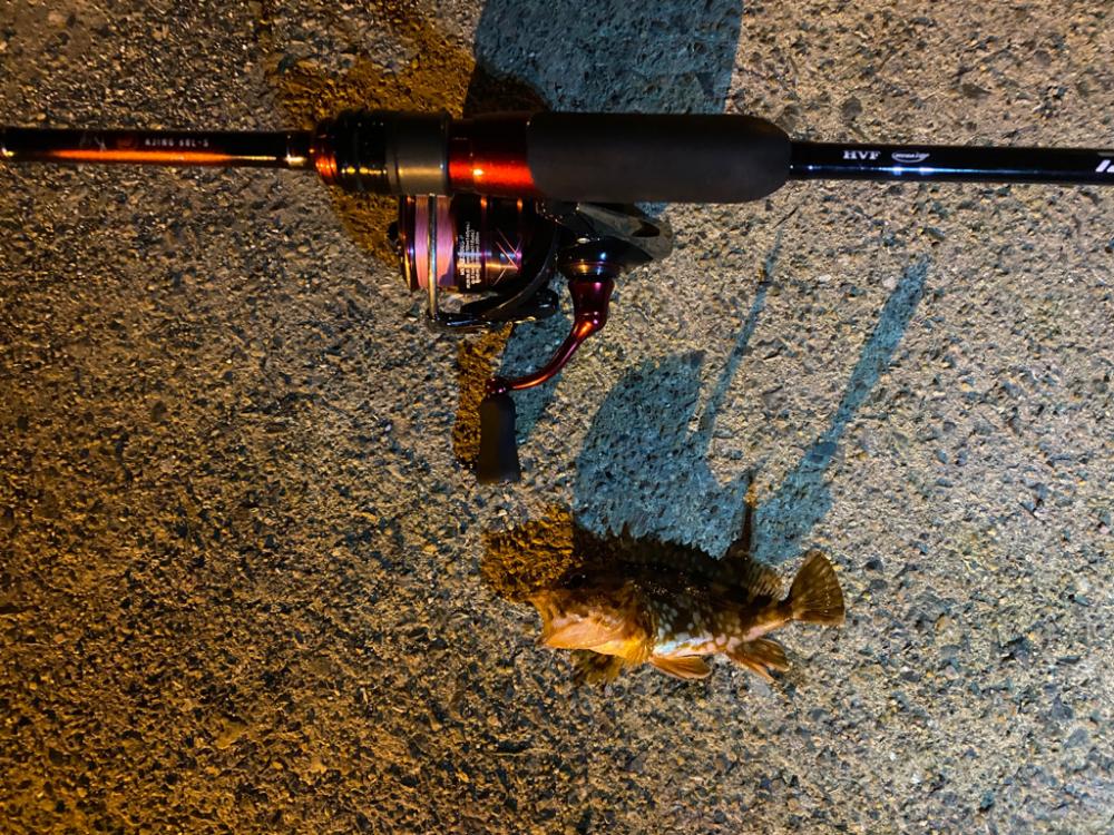 極寒期のメバリング