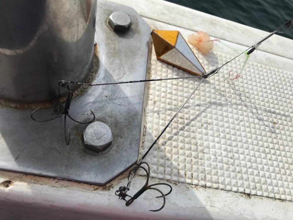 神戸沖カットウ釣り