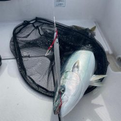 寒鰤ジギング⋆*🐟