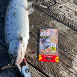 釣堀海恵での釣果