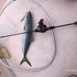 徳島県南伊島沖ジギング