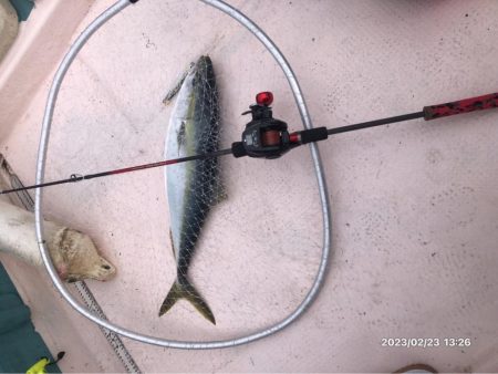 徳島県南伊島沖ジギング