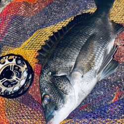 ヘチってきました