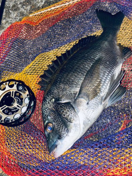 ヘチってきました