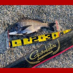 少し寒さもやわらぎ釣り日和。