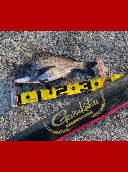 少し寒さもやわらぎ釣り日和。