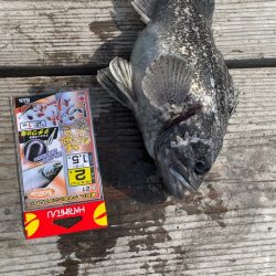 イベント開催しました♪