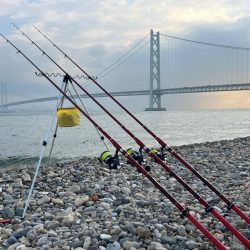 アイナメ狙い不発