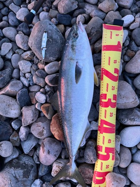 マキマキバイブを信じて投げ続けると