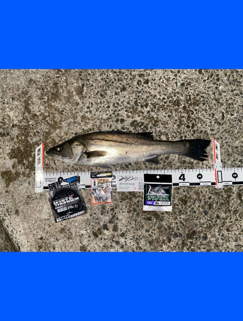 風も無くベタ凪の暖かい日