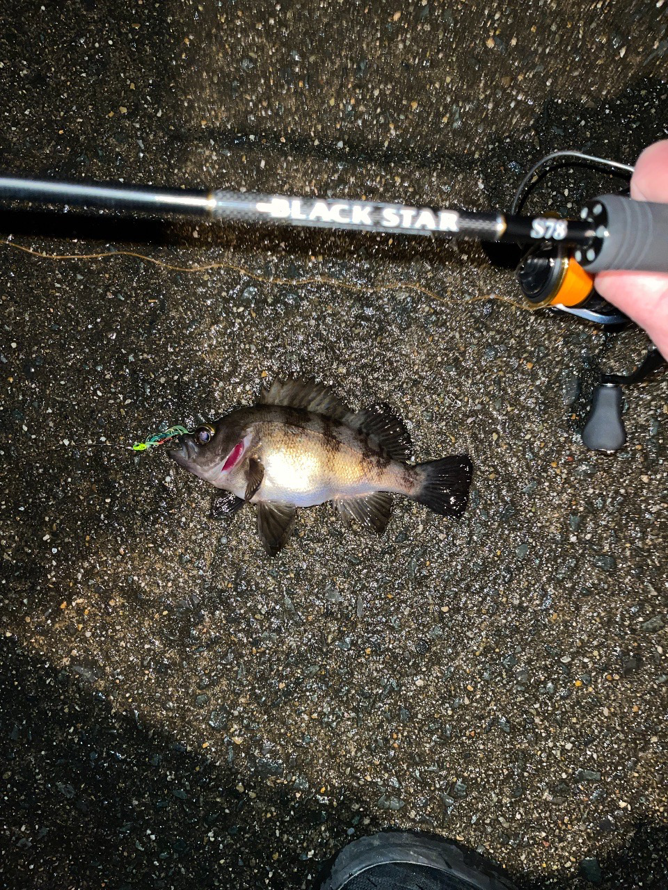 23メバリング日記3