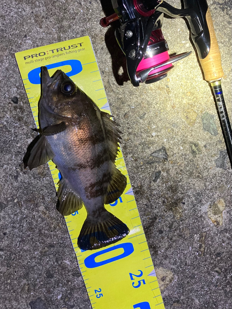 アフター回復傾向