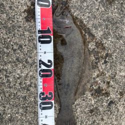 朝からワインド