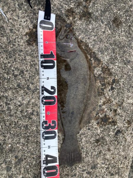 朝からワインド