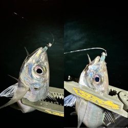 ボートアジング