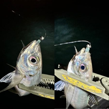 ボートアジング