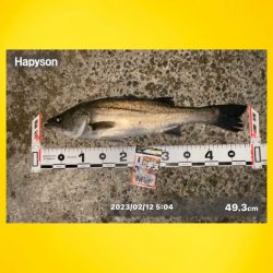 潮の流れもなく風もなくベタ凪の暖かい日