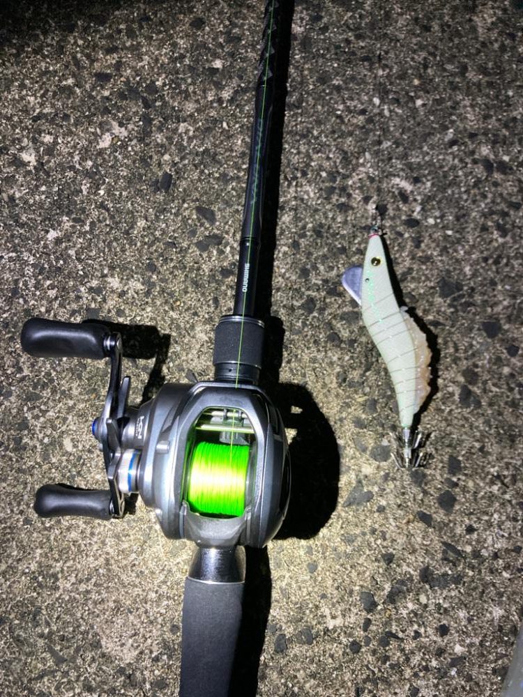 ヤリイカ調査釣行