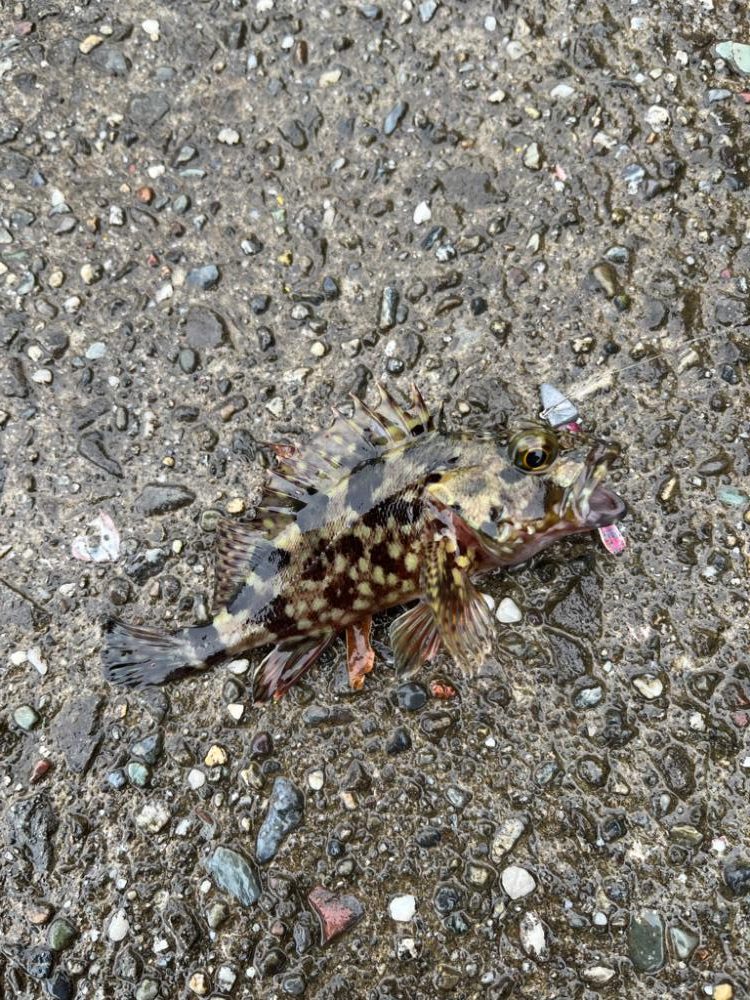 超々短時間ライトゲーム