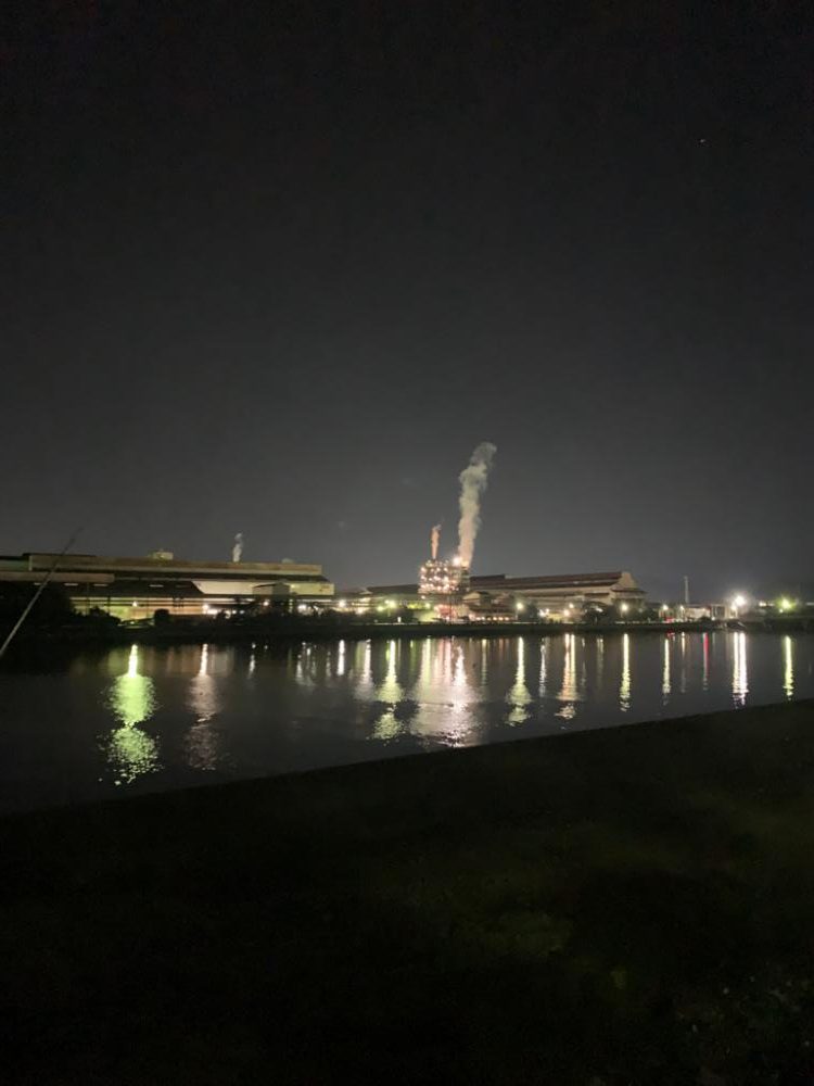 ナイトシーバス？