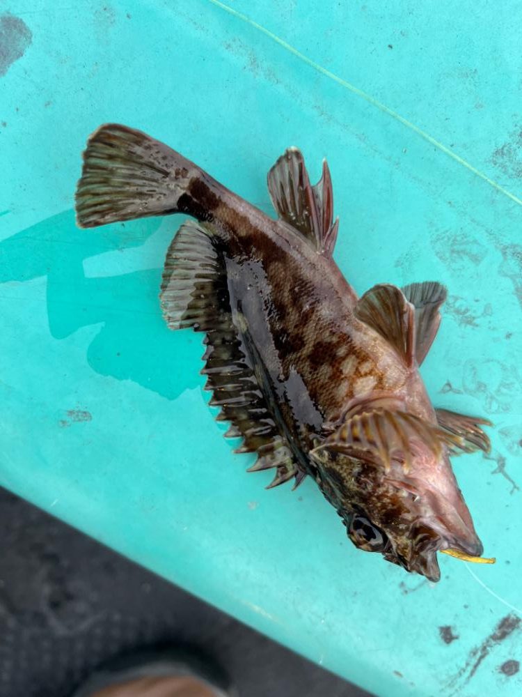 四日市ライトロック