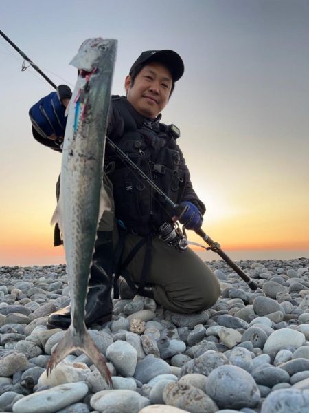 マキマキでサゴシ連発！