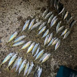 今年は成長が遅い？