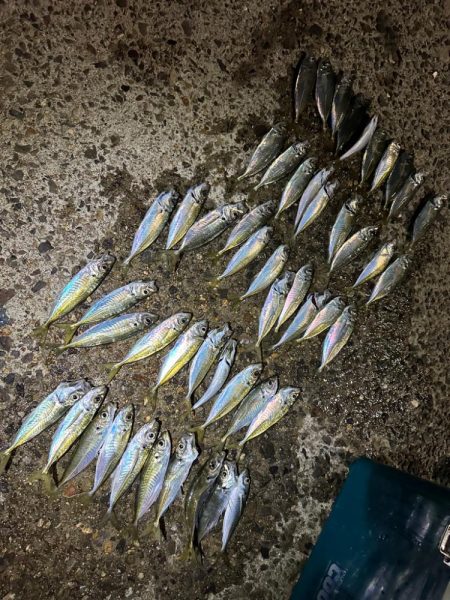 今年は成長が遅い？