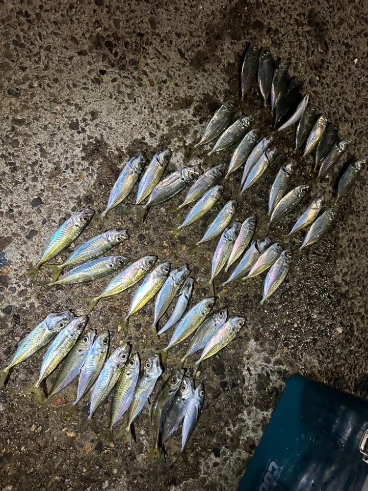 今年は成長が遅い？