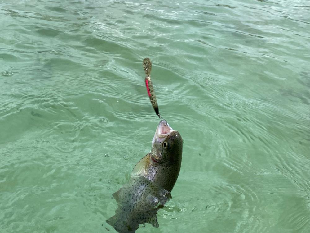 京都府亀岡市　エリアトラウト