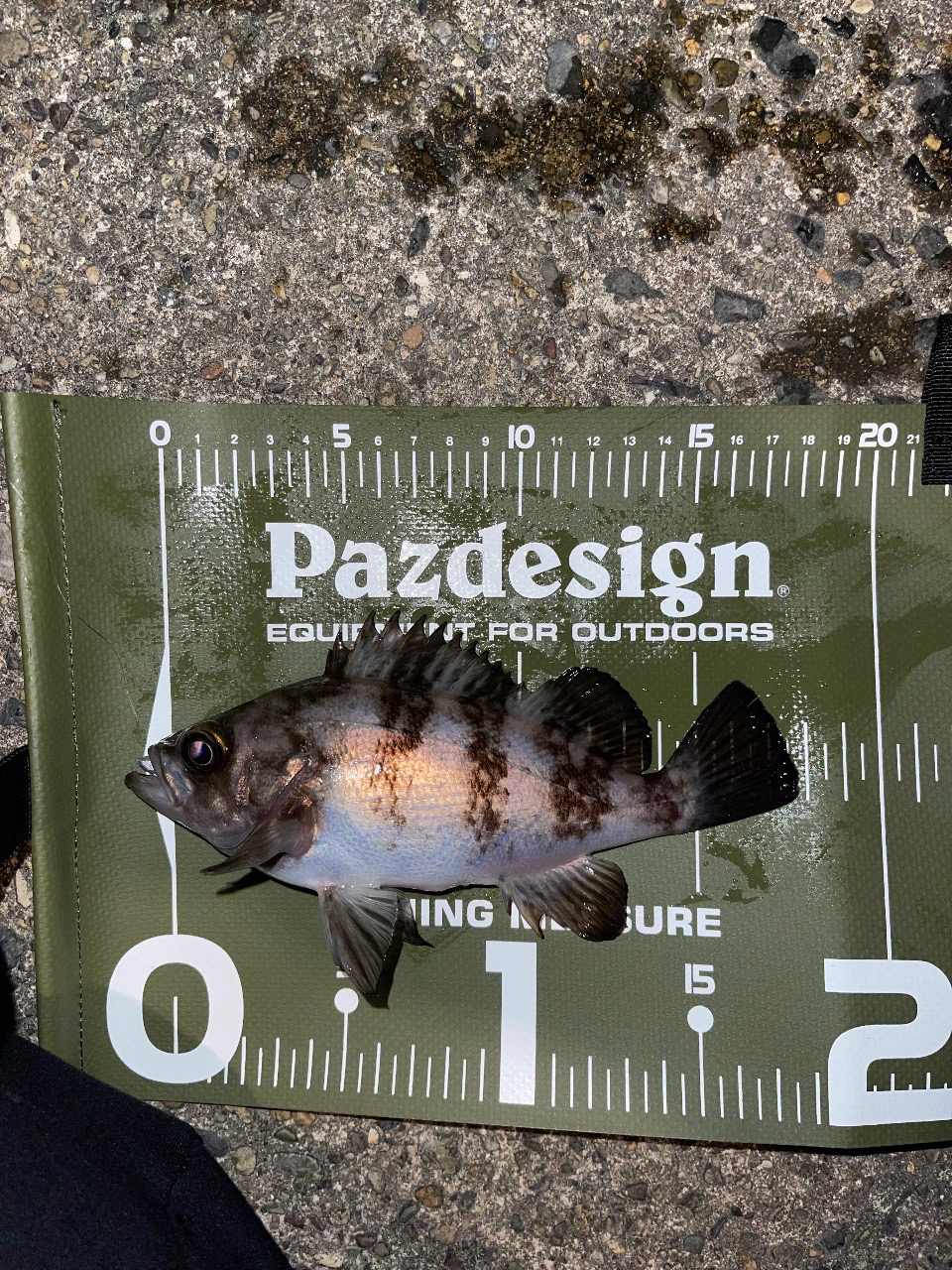 23メバリング日記2