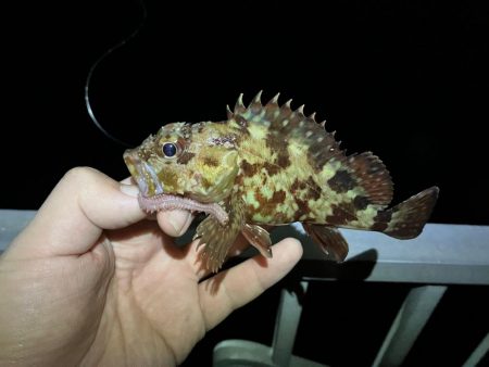 またまた穴釣り