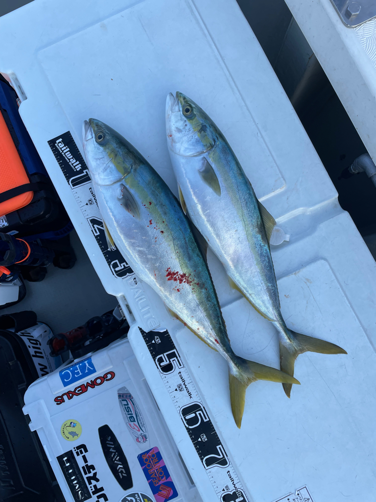 丹後沖青物ジギング