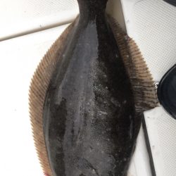 久しぶりの伊島沖