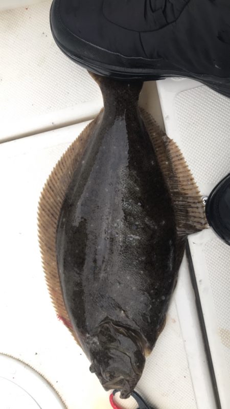 久しぶりの伊島沖