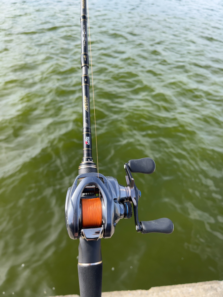 やっぱりチニング！