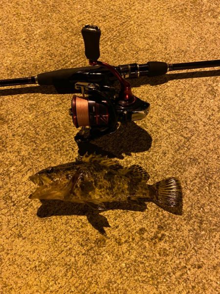 極寒期メバリング⑤