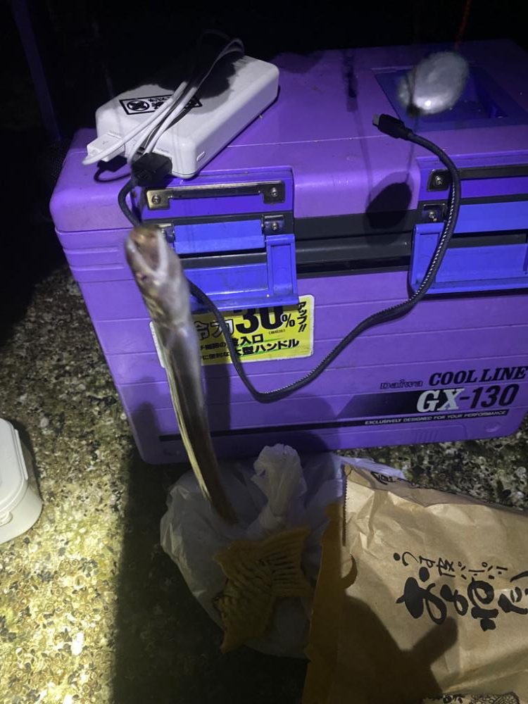 水温低下で我慢の釣り