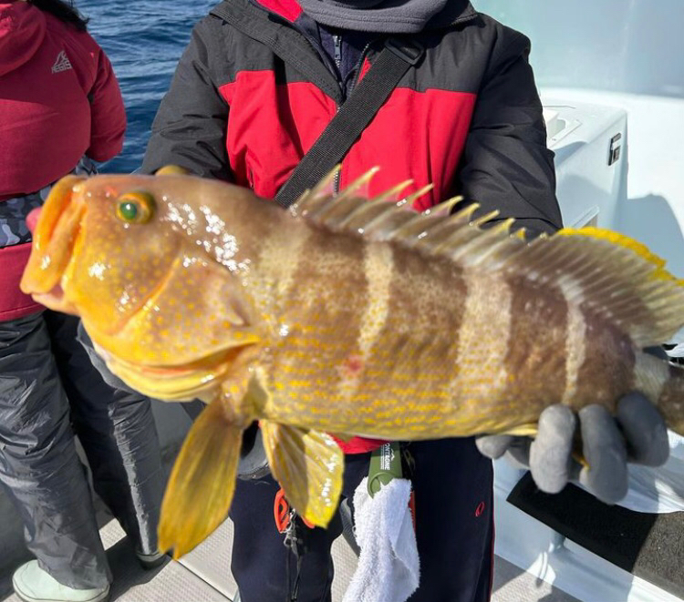 寒波以降の厳しさ脱出か