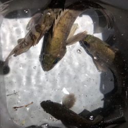 久々の友人との釣行