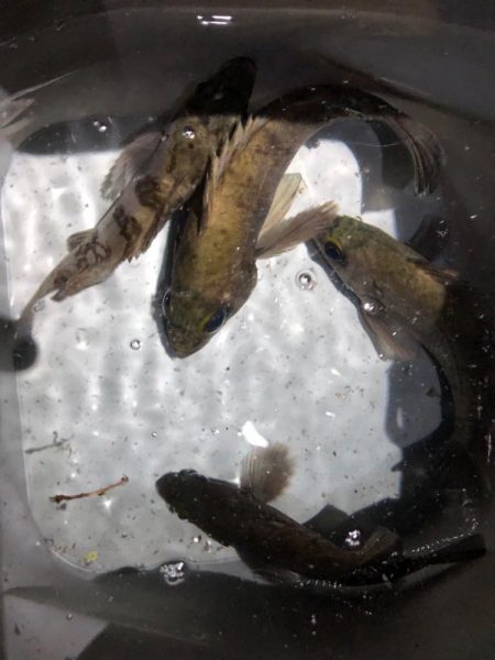 久々の友人との釣行