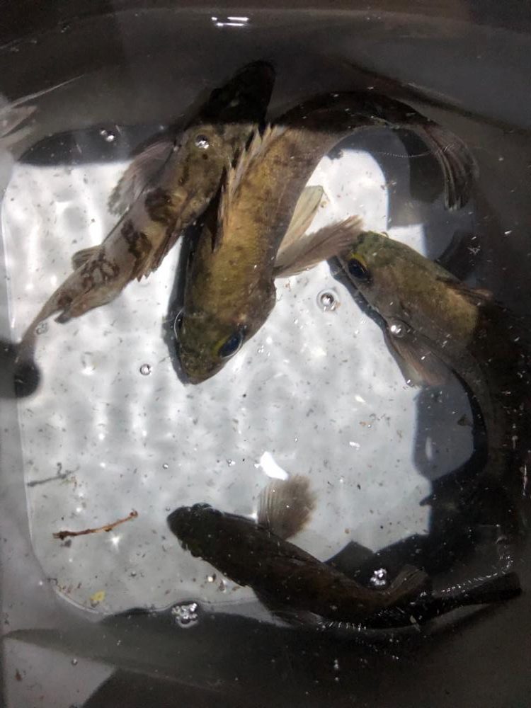 久々の友人との釣行