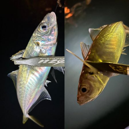 ボートアジング